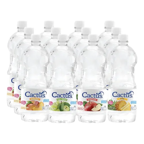 CACTUS AGUA SABORES 16/500 ML