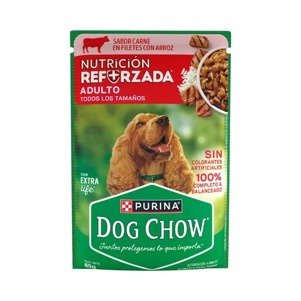 DOG CHOW PCH CACH CARNE 12/85 GR