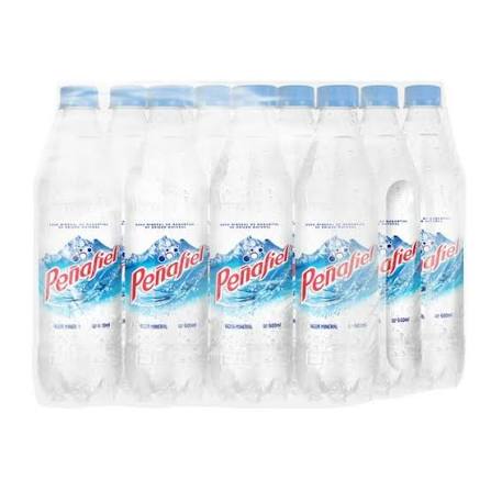 PEÑAFIEL MINERAL 12/600 ML