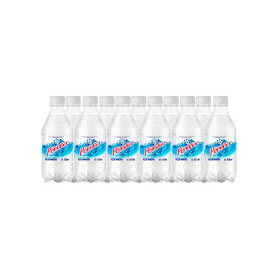 PEÑAFIEL MINERAL 24/355 ML