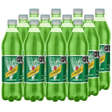 SCHWEPPES GINGER ALE 12/600 ML