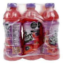 SPASH JUGO SURT 12/500 ML