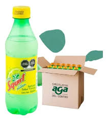 SQUIRT 24/600 ML