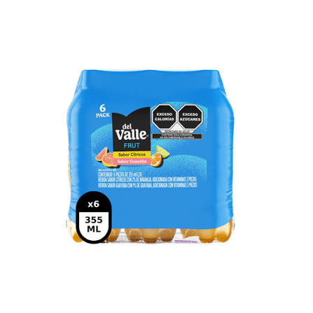 VALLE FRUT GUAYABA 12/355 ML